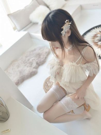 芈月传电视剧免费观看
