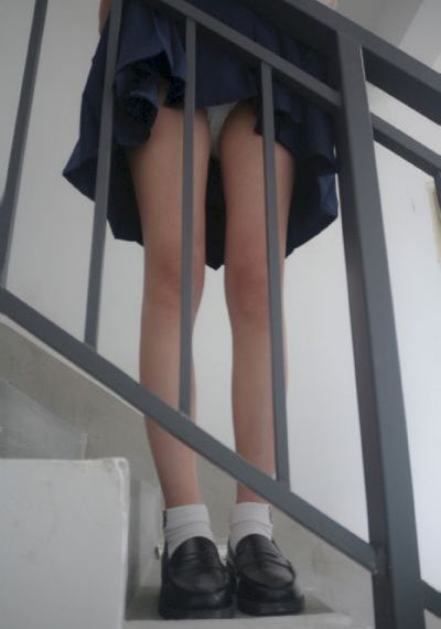 狐狸的春天电视剧全集免费