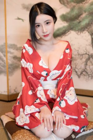 大明王朝1566