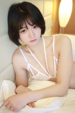 芝麻胡同 电视剧